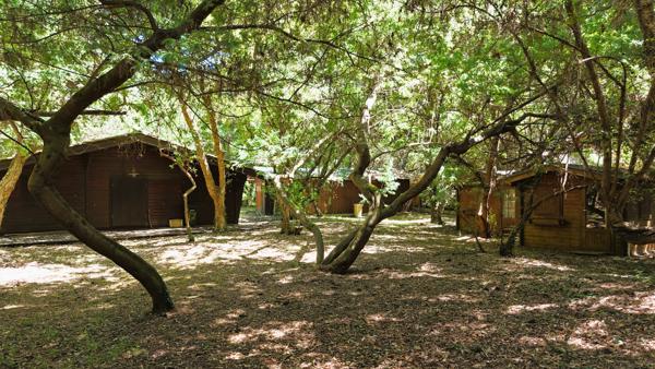 L'HERBE : TERRAIN CONSTRUCTIBLE 2 593 m²