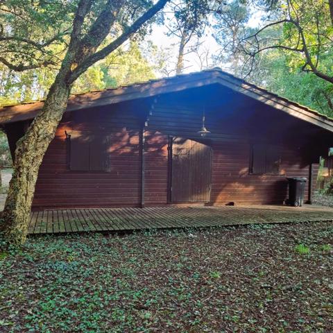 L'HERBE : TERRAIN CONSTRUCTIBLE 2 593 m²