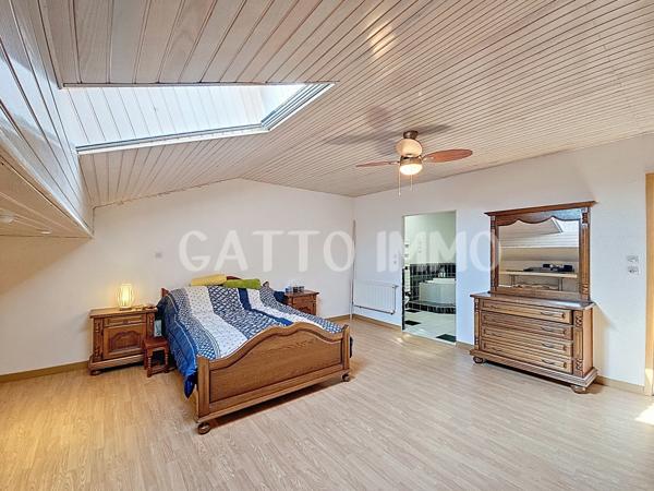 Delme (57590) Maison de 260 m² // Terrain de 452 m² // 4 chambres // DPE C // Terrasse // Jardin