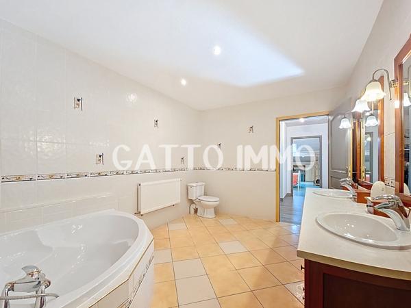 Delme (57590) Maison de 260 m² // Terrain de 452 m² // 4 chambres // DPE C // Terrasse // Jardin