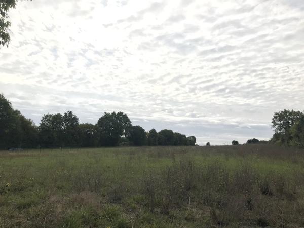 Terrain à vendre 49 990 € Saint-Saturnin-du-Bois 3247 m² DPE