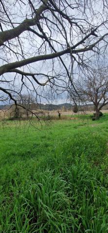 terrain constructible 997 m² bollene 84500  Bollène (84500)