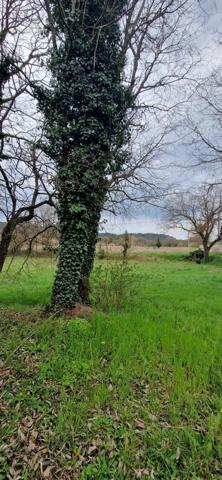 terrain constructible 997 m² bollene 84500  Bollène (84500)