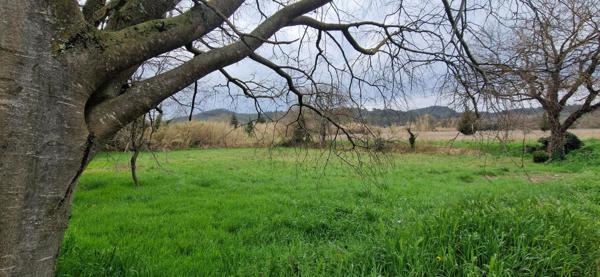 terrain constructible 997 m² bollene 84500  Bollène (84500)