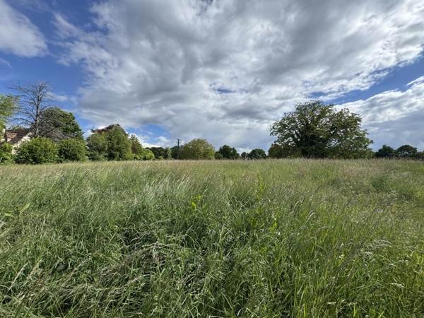 Terrain à vendre |  Saint-Yrieix-la-Perche |  13738 m²