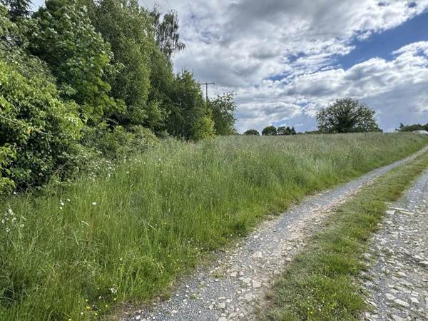 Terrain à vendre |  Saint-Yrieix-la-Perche |  13738 m²