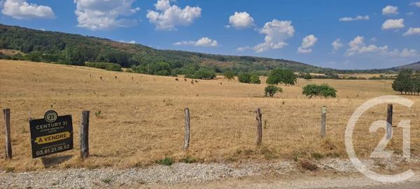 Terrain à vendre  1500 m 2   LIESLE  - 25