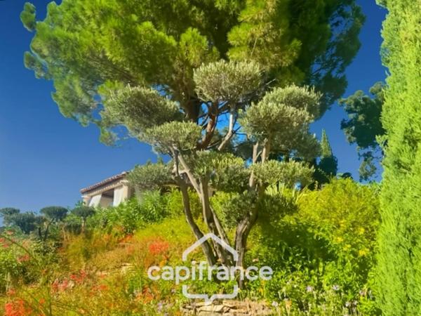 Propriété à vendre 6 pièces LA LONDE LES MAURES (83)- Domaine de Valcros.