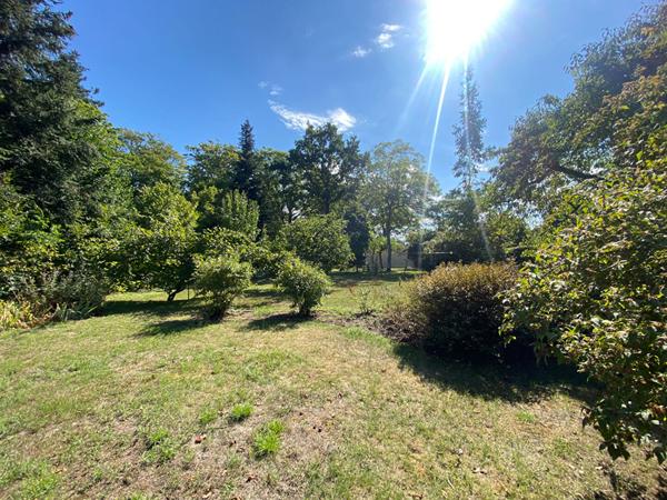 Terrain Olivet