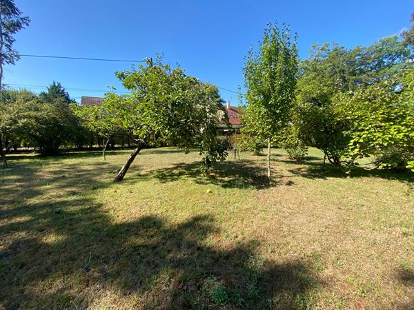 Terrain Olivet