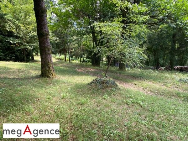 Terrain à TULLE, 19000 - 2384m²