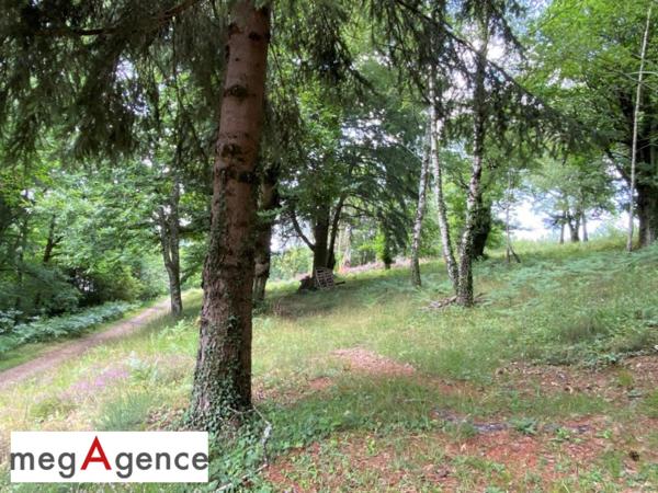 Terrain à TULLE, 19000 - 2384m²