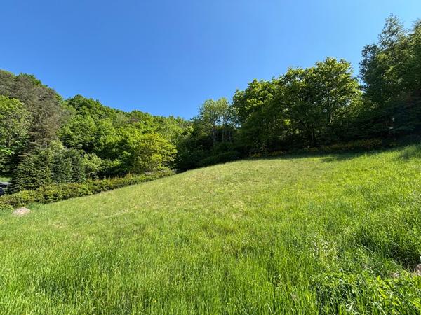 Achat terrain près de SAINT DIE DES VOSGES - 1328 m² - 33 000 €