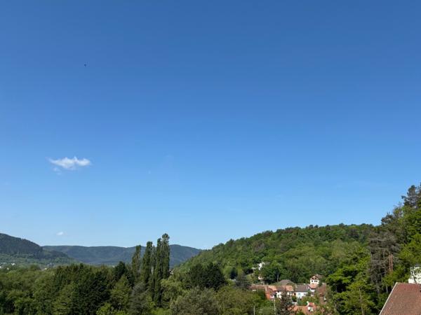 Achat terrain près de SAINT DIE DES VOSGES - 1328 m² - 33 000 €