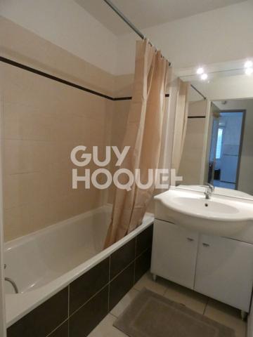 APPARTEMENT T2 MEUBLE FROUZINS