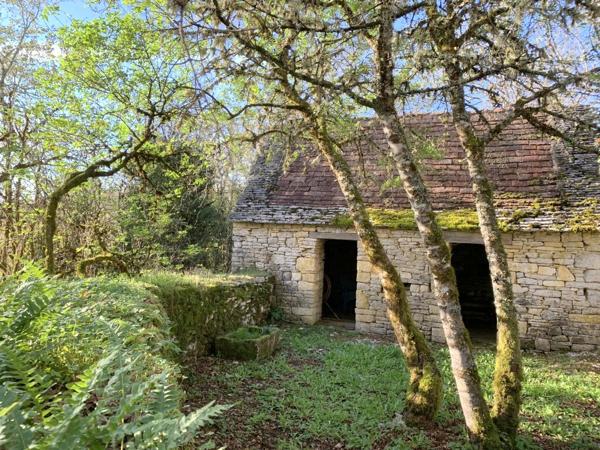 Propriété de caractère, 2 maisons en pierre parfaitement rénovées, avec piscine, dépendances et terrain 1 Ha