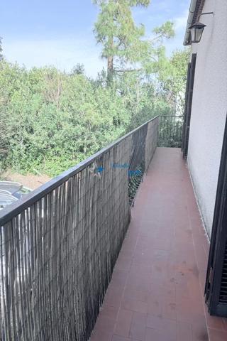 Santa-lucia-di-moriani maison 217 m 2