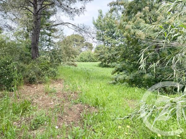 terrain à vendre  1200,09 m2 LA CROIX VALMER - 83