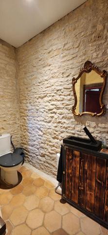 CHAUNAY - MAISON PIERRE - 4 CHAMBRES - JARDIN - DEPENDANCES