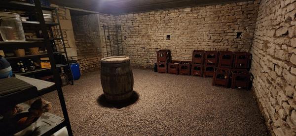 CHAUNAY - MAISON PIERRE - 4 CHAMBRES - JARDIN - DEPENDANCES