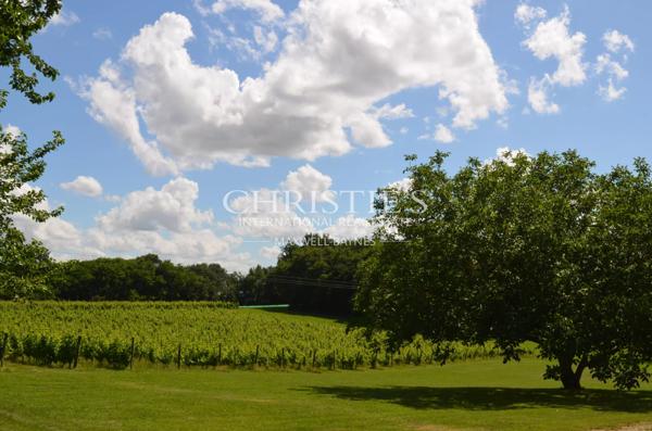 Très beau domaine viticole en  Agriculture Biologique AOC Montravel, Haut-Montravel et Côtes de Bergerac