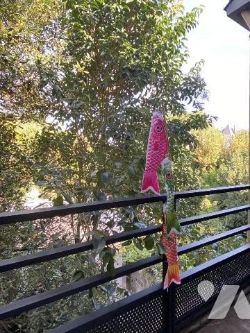 NANTES ST PASQUIER Maison de famille coup de cœur de 160 m² avec jardinet et garage