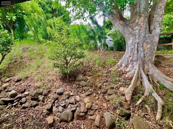 Villa à vendre à La Possession à la Réunion (97419), ref : 97424/250