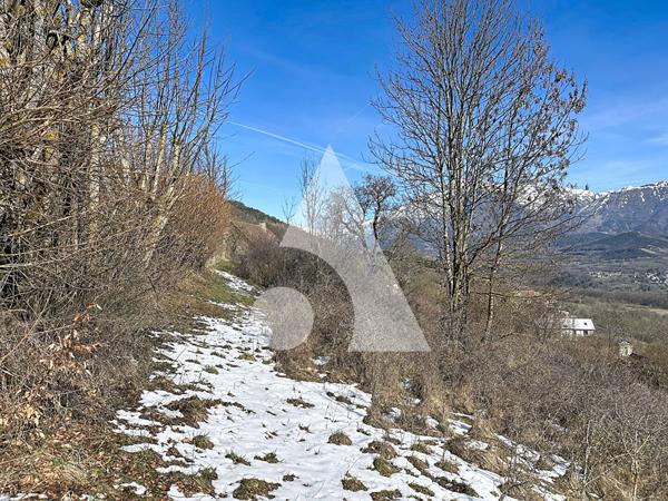 Terrain 3968 m2