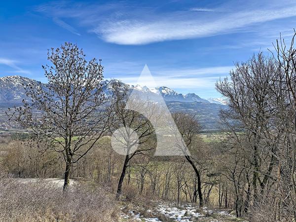 Terrain 3968 m2