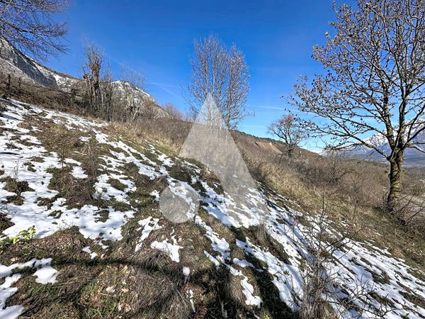 Terrain 3968 m2