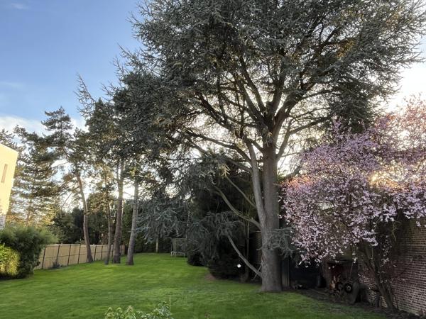 Maison familiale avec grand jardin