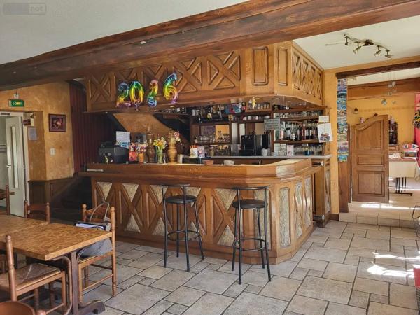 Achat - Fonds et/ou murs commerciaux Chéniers 23220 9 pièces 353 m 2 1372 m 2