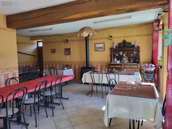 Achat - Fonds et/ou murs commerciaux Chéniers 23220 9 pièces 353 m 2 1372 m 2