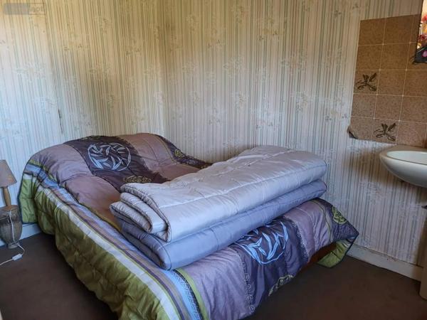 Achat - Fonds et/ou murs commerciaux Chéniers 23220 9 pièces 353 m 2 1372 m 2