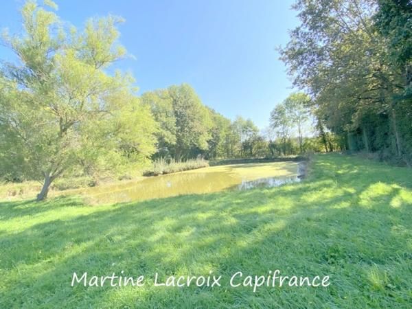 Dpt SARTHE (72), à vendre CORMES - PROPRIÉTÉ  P8 de 226 m² - Terrain de 2,50 Ha