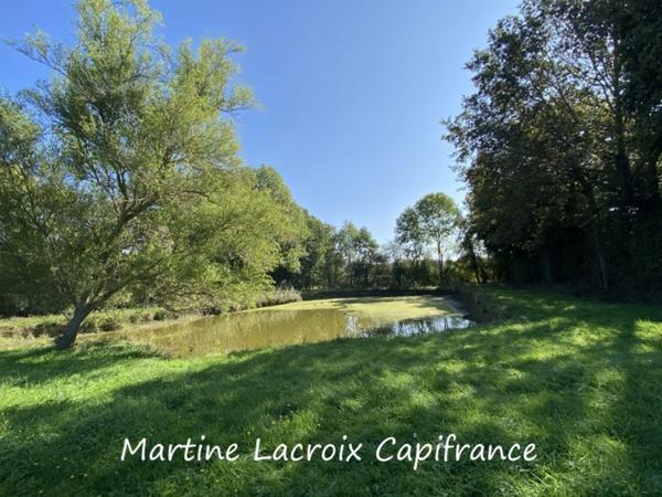 Dpt SARTHE (72), à vendre CORMES - PROPRIÉTÉ  P8 de 226 m² - Terrain de 2,50 Ha