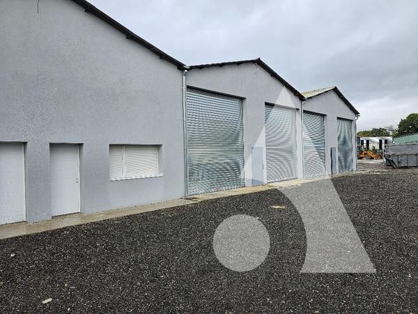 Local d'activité 1 pièce 50 m2