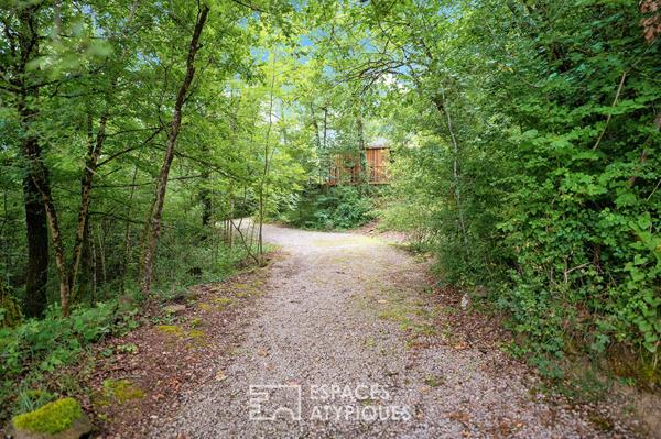 Paillourte atypique au coeur des bois