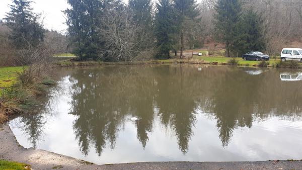 Chalet de loisir et son étang