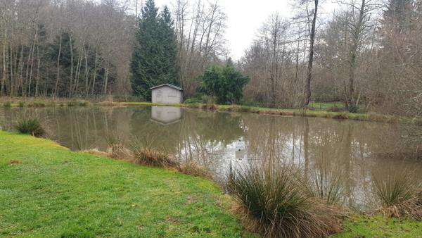 Chalet de loisir et son étang