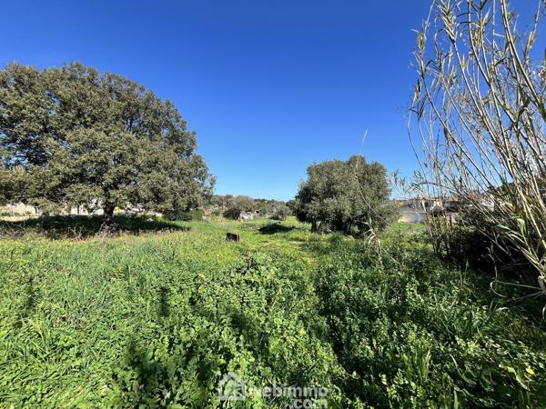 Terrain à bâtir 1040 m² à Santa-Reparata-di-Balagna 20220