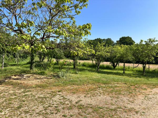 Pour les amoureux de la nature dans le village de Mouliherne