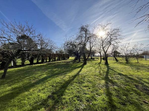 Maison à vendre |  Montpon-Ménestérol |  3 pièces | 73 m²