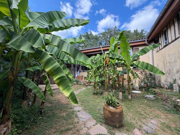 Domaine plein de charme de 250M2 avec dépendances et gîte dans un écrin de verdure Proche de MONT DE MARSAN au HOUGA
