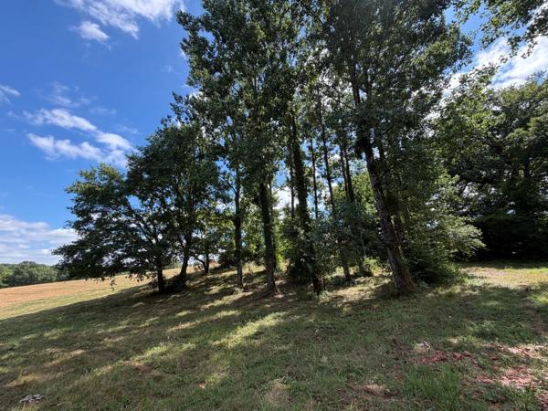 Domaine plein de charme de 250M2 avec dépendances et gîte dans un écrin de verdure Proche de MONT DE MARSAN au HOUGA