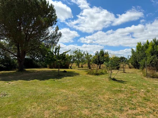 Domaine plein de charme de 250M2 avec dépendances et gîte dans un écrin de verdure Proche de MONT DE MARSAN au HOUGA