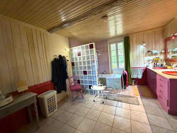 Domaine plein de charme de 250M2 avec dépendances et gîte dans un écrin de verdure Proche de MONT DE MARSAN au HOUGA