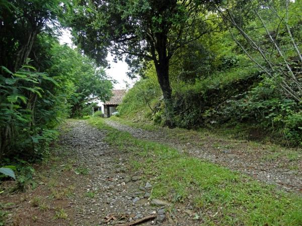 Dpt Pyrénées Orientales (66), à vendre REYNES, maison P6 de 136 m² sur terrain de 1.72 ha avec sous-sol et garage