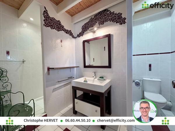 Maison 7 pièces - 320 m² Bien prestige