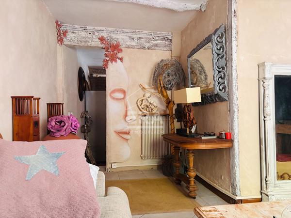 Maison d'exception avec jardin exotique face à la Cité de Carcassonne